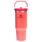 Stanley classic iceflow flip straw tumbler | 0.89L - термос Hot Coral
