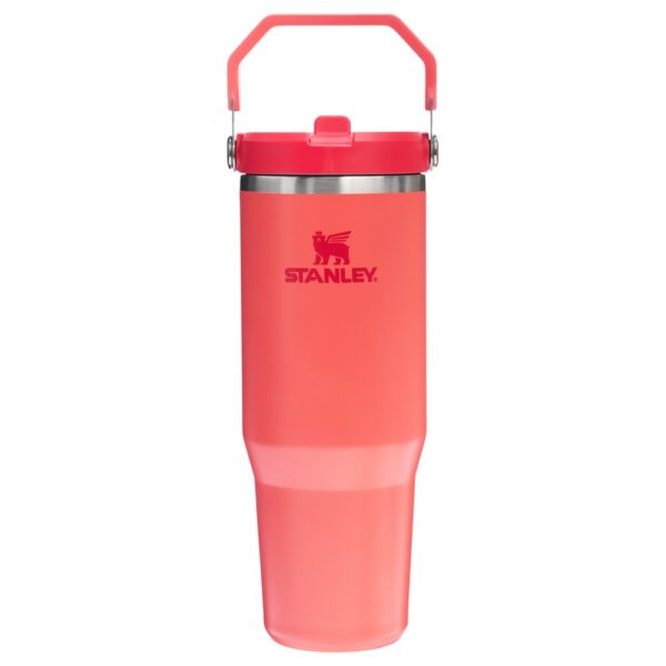 Stanley classic iceflow flip straw tumbler | 0.89L - термос Hot Coral