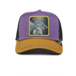 Baseball Cap Hammer and Spike, Purple - капа