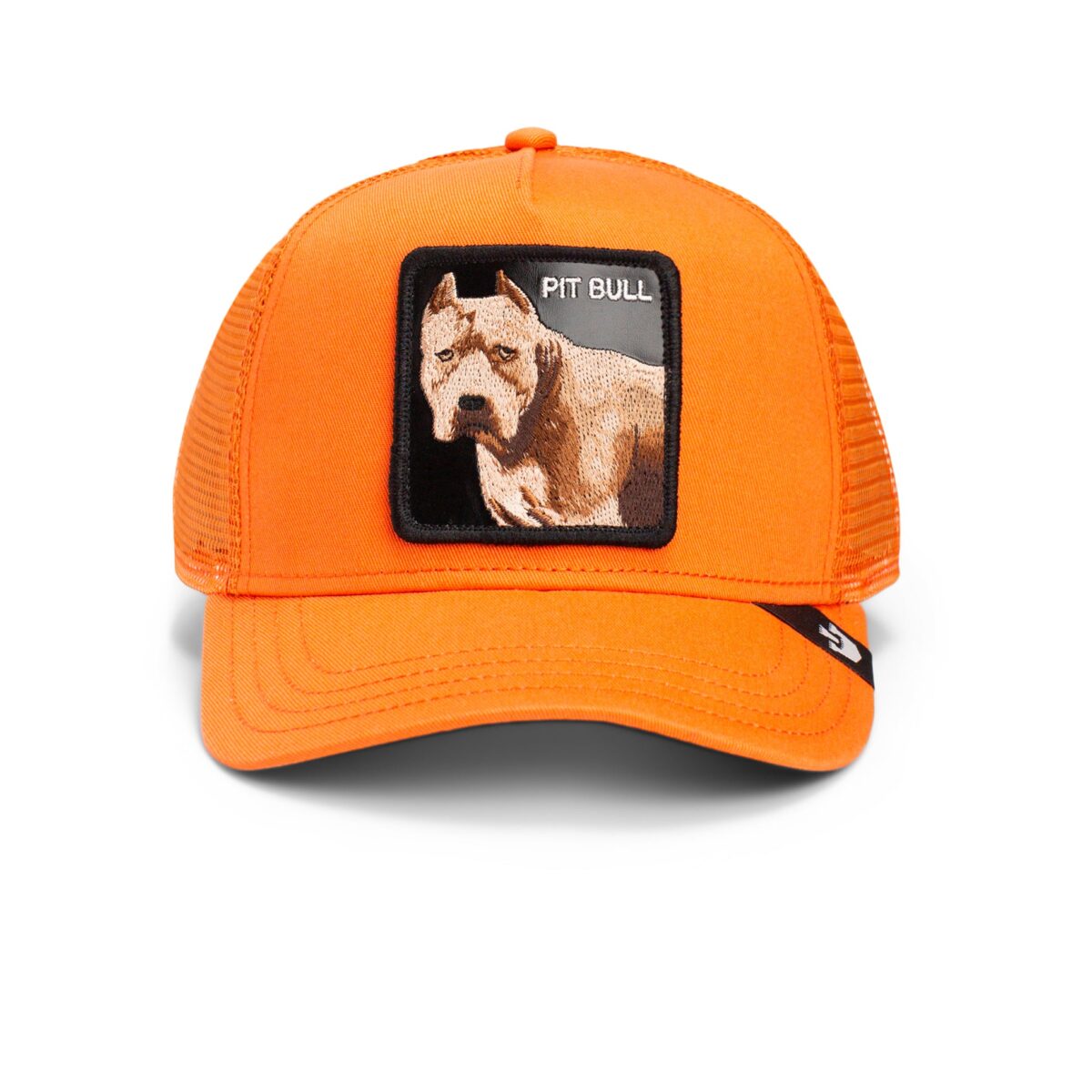Baseball Cap The Dog Pitbull, Orange - капа - Image 1