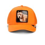 Baseball Cap The Dog Pitbull, Orange - капа