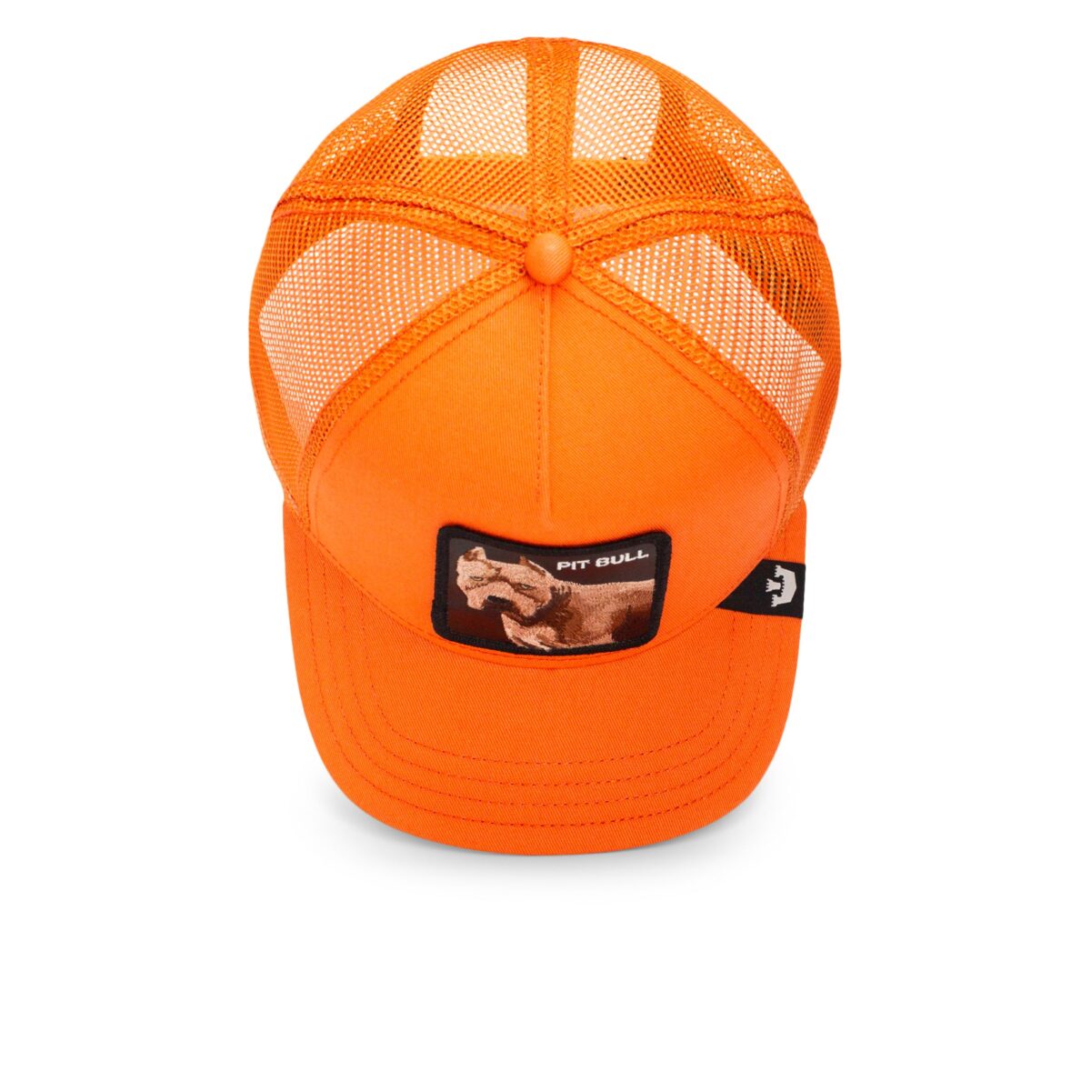 Baseball Cap The Dog Pitbull, Orange - капа - Image 4