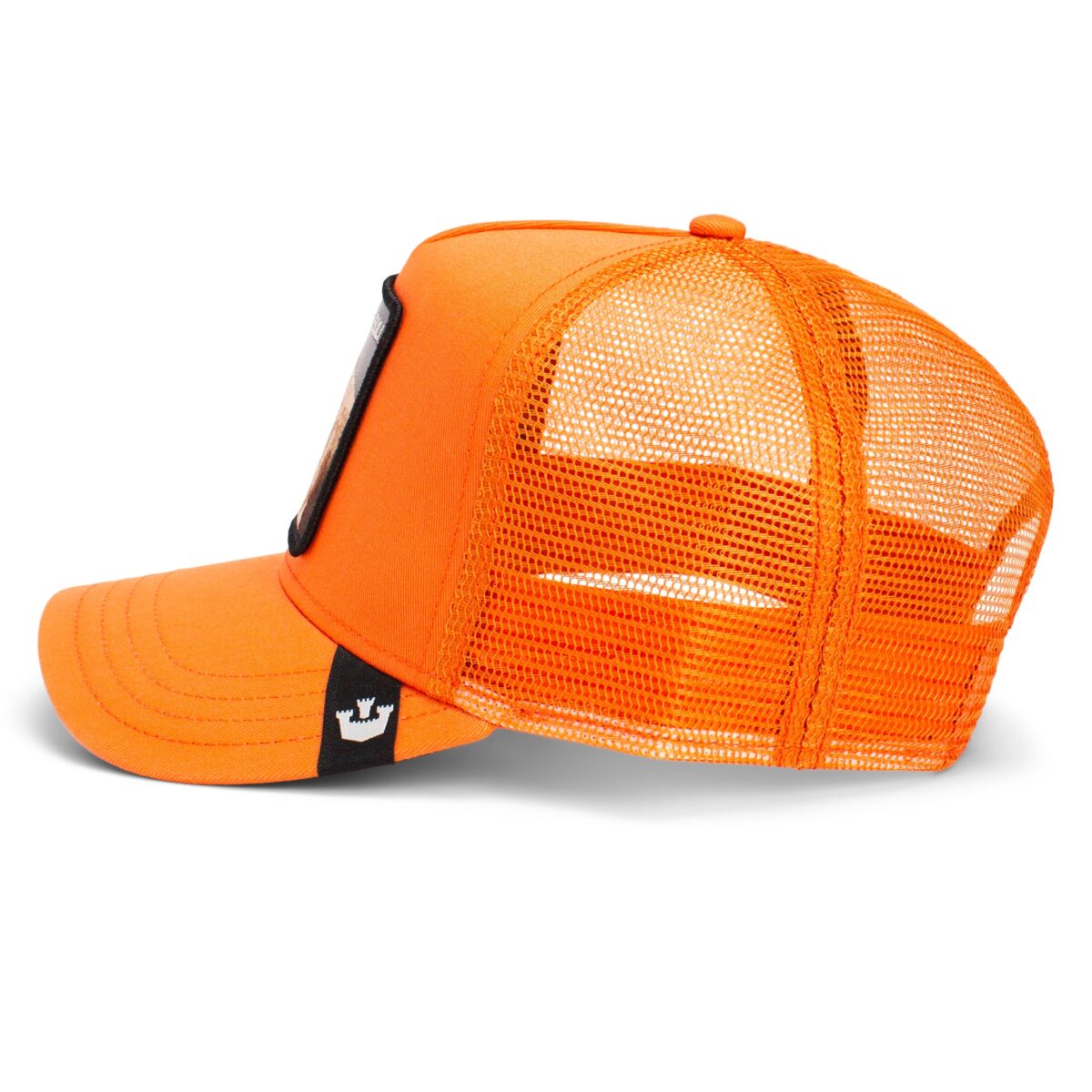 Baseball Cap The Dog Pitbull, Orange - капа - Image 3