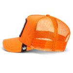 Baseball Cap The Dog Pitbull, Orange - капа - Image 3