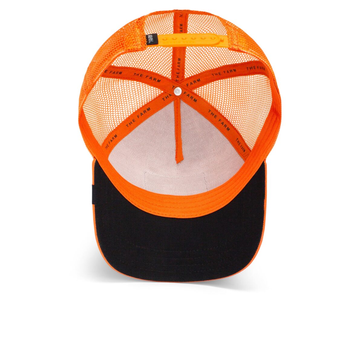 Baseball Cap The Dog Pitbull, Orange - капа - Image 2