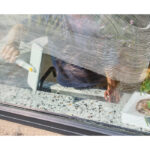 CleanTech 2-in-1 glass cleaning squeegee - бришач за стакло - Image 9