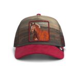 Baseball Cap Stallion In The Element - капа, Multicolor