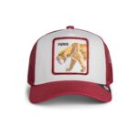 Kids Baseball Cap Fierce Saber-Tooth Mini - капа, Red