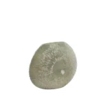 CONCHA - вазна, 40,5x11x30,5 cm glass grey-green - Image 3