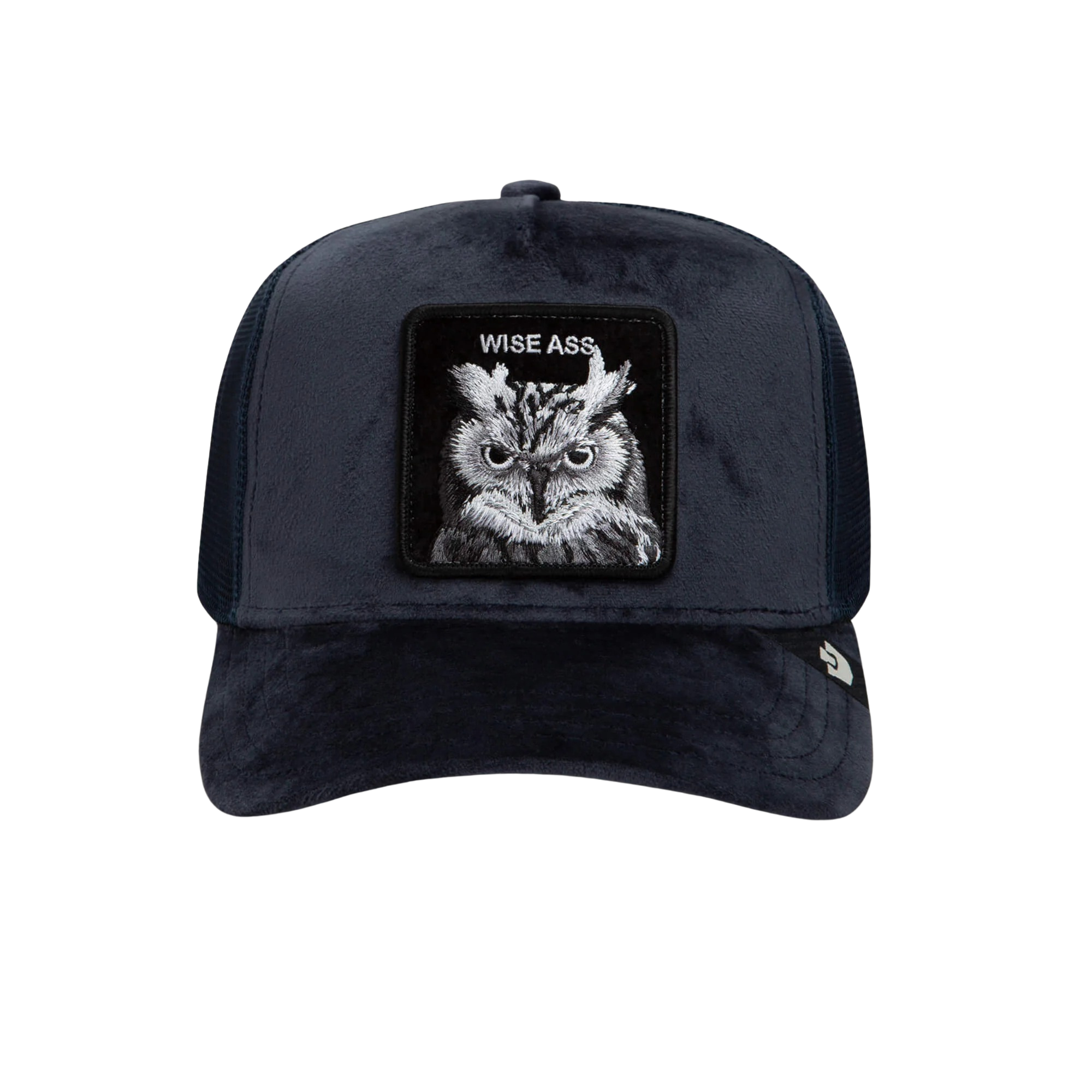 GB-101-3678-EDG01 (1).jpg - Edited Baseball Cap Velour Wise Ass Owl, Blue - капа - Image 1
